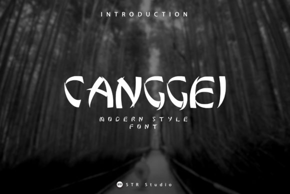 Canggei: A Modern Display Font for Polished Digital Branding
